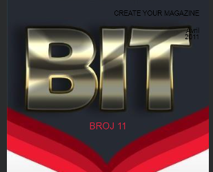 Bit broj 11