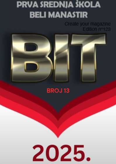 Bit  – broj 13